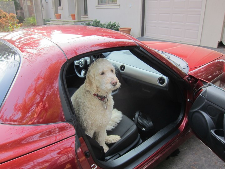 No - you can't come.