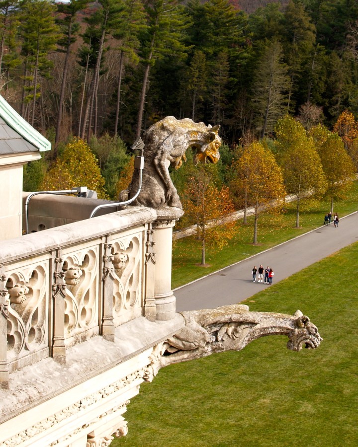 Biltmore gargoyles