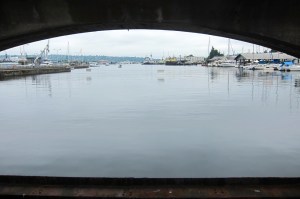 Hiram M. Chittenden Locks and Carl S. English Jr. Botanical Garden