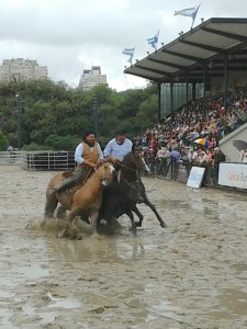 Nuestros Caballos