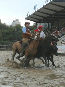 Nuestros Caballos