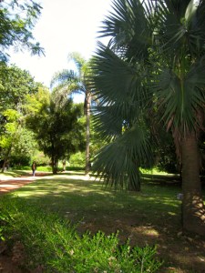 Jardín Botánico Carlos Thays de la Ciudad Autónoma de Buenos Aires