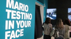 MALBA - Mario Testino In Your Face