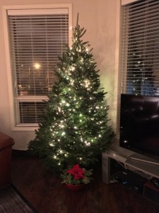 Hoboken Xmas tree | Partially dressed/undressed
