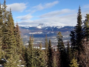 @Jasper National Park