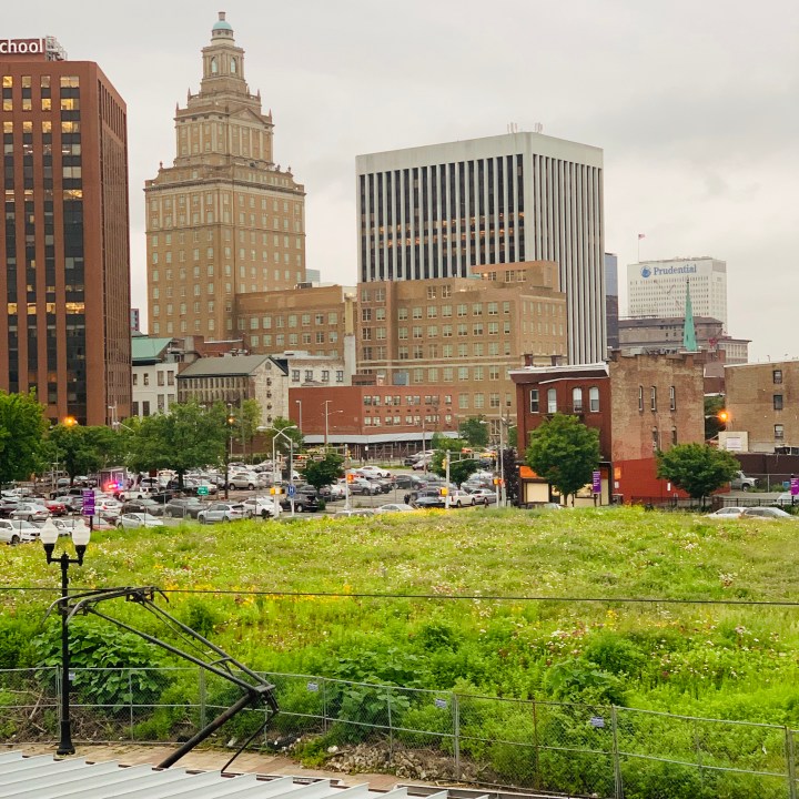 Wildflowers in vacant lot @Newark Broad St NJTransit