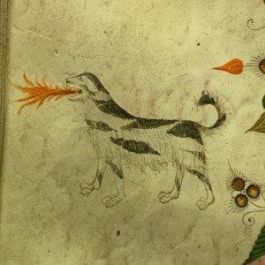 They had bad ass dogs in Florence, back in the day - Museo de San Marco