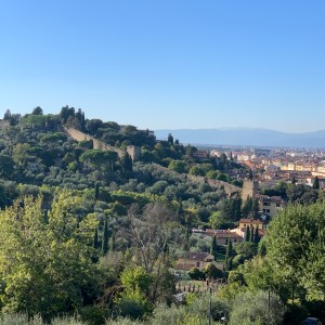 Florence city wall