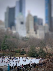 Skaters @ Central Park
