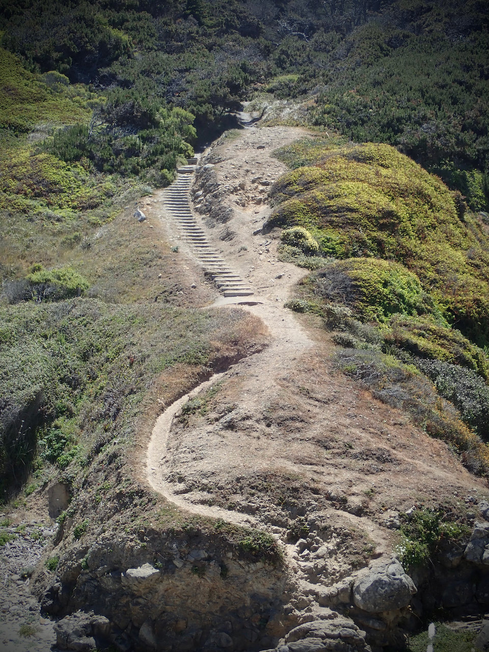 @Salt Point State Park