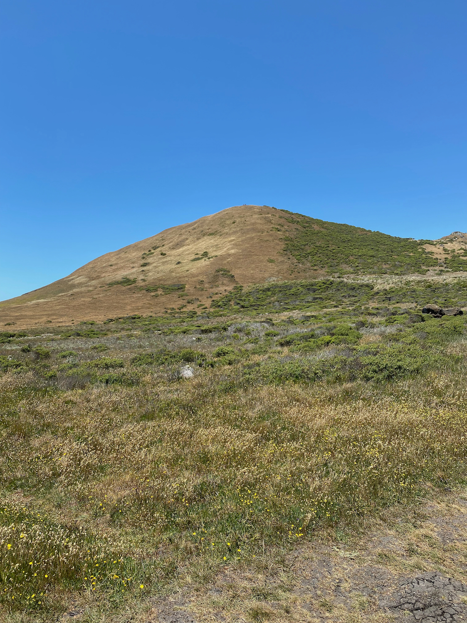 @Sonoma Coast State Park