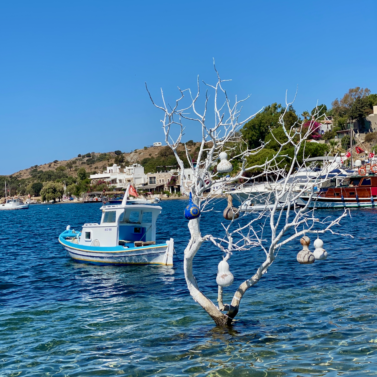 Gümüşlük - Türkiye