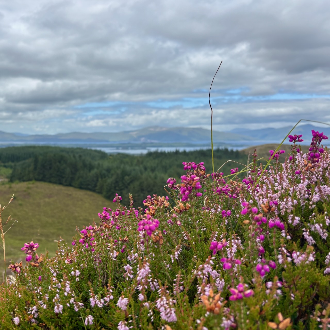 @Beinn Lora, Oban Scotland