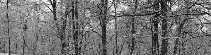 3 1/2 Things in January&nbsp;2026